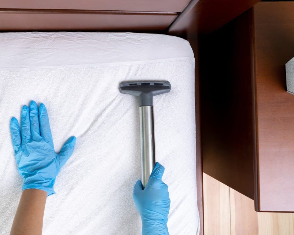 Intervention de nettoyage de matelas pour particuliers avec traitement et aspiration en profondeur